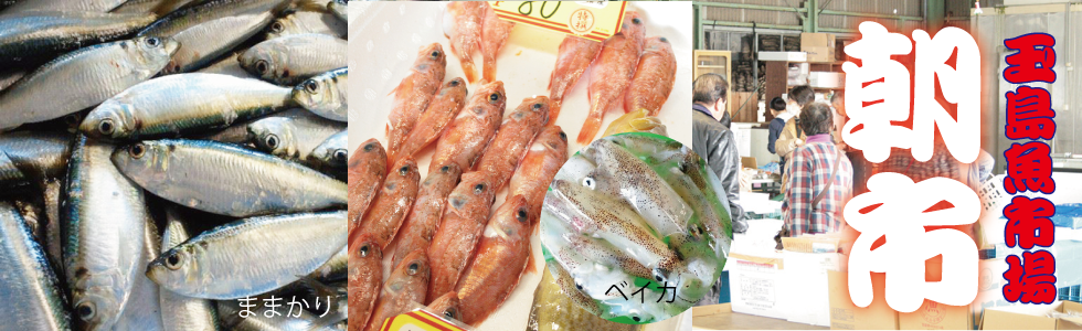 玉島魚市場で魚をとる